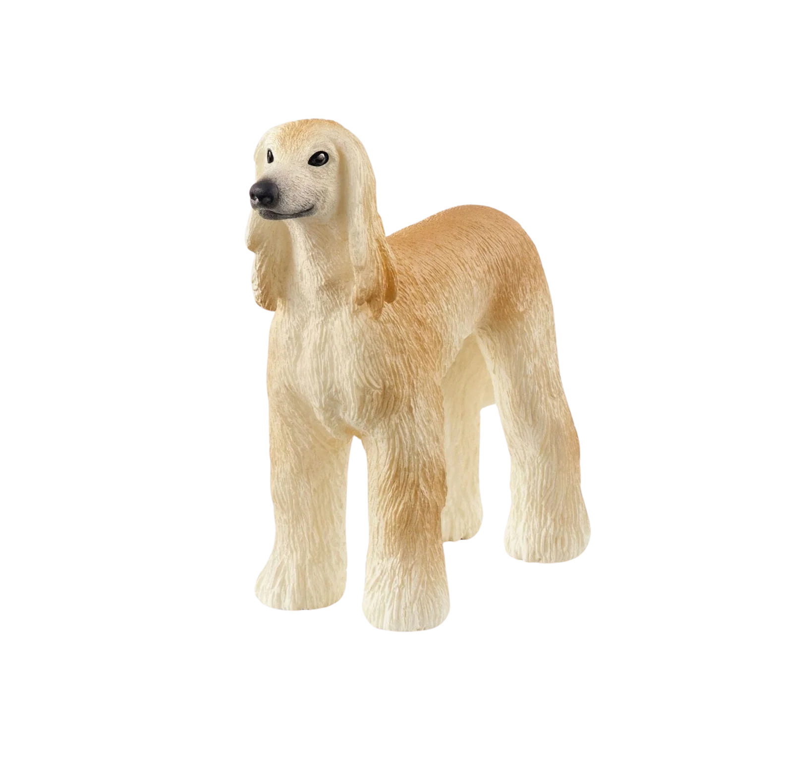 Imagem do produto 1